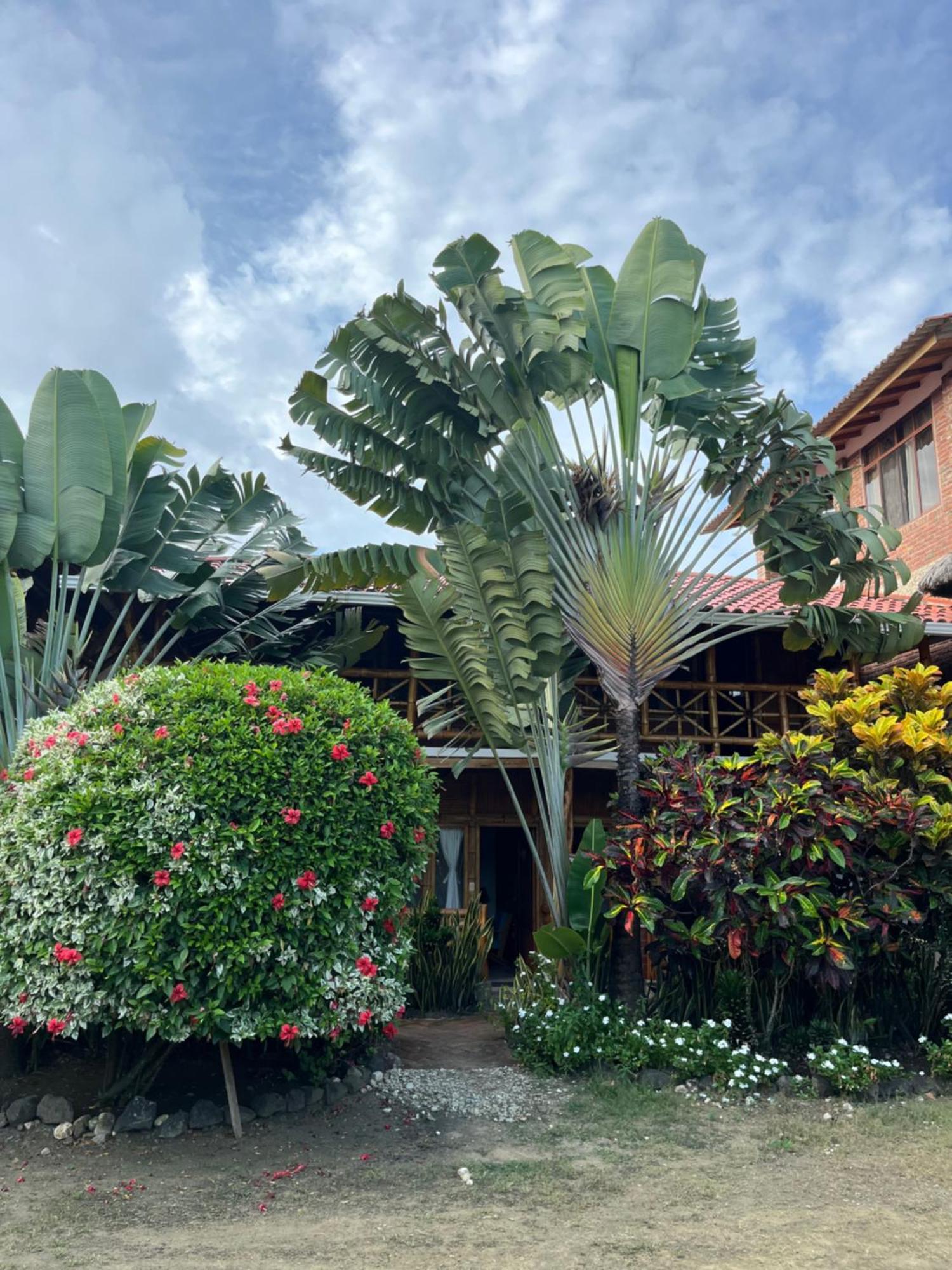Victor Hugo Hotel Puerto López Exteriör bild